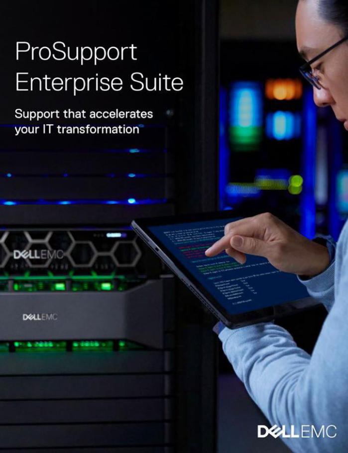 ProSupport Enterprise Suite . Dell (2021-03-31-2021-03-31)