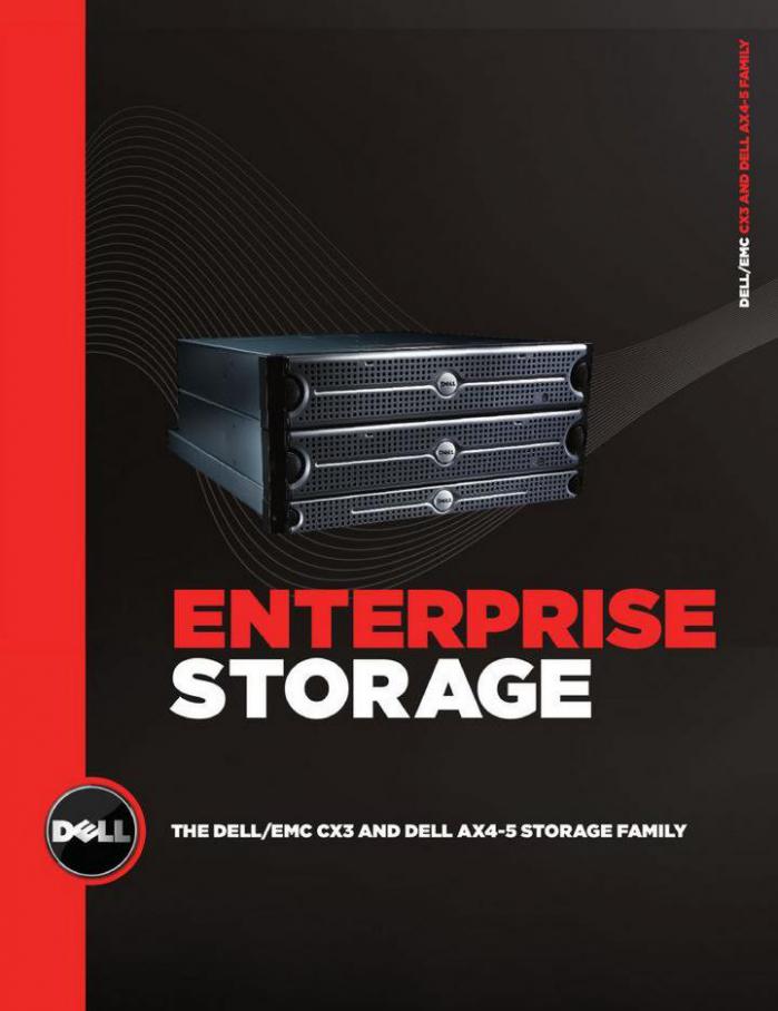Mass Storage. Dell (2021-08-07-2021-08-07)