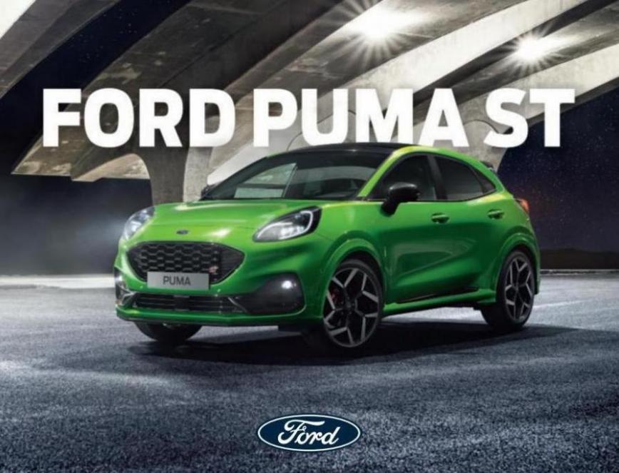 Puma St. Ford (2022-12-31-2022-12-31)