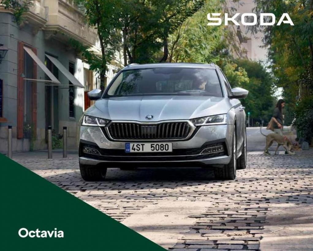 Škoda Octavia. Skoda (2024-01-01-2024-01-01)